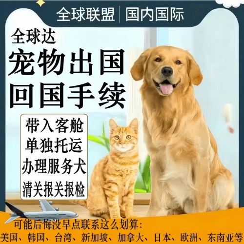 鄂尔多斯市宠物托运到柬埔寨宠物入境规定和要求