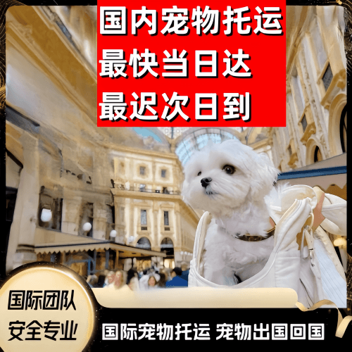 鄂尔多斯市到澳大利亚（澳洲）宠物入境规定和要求