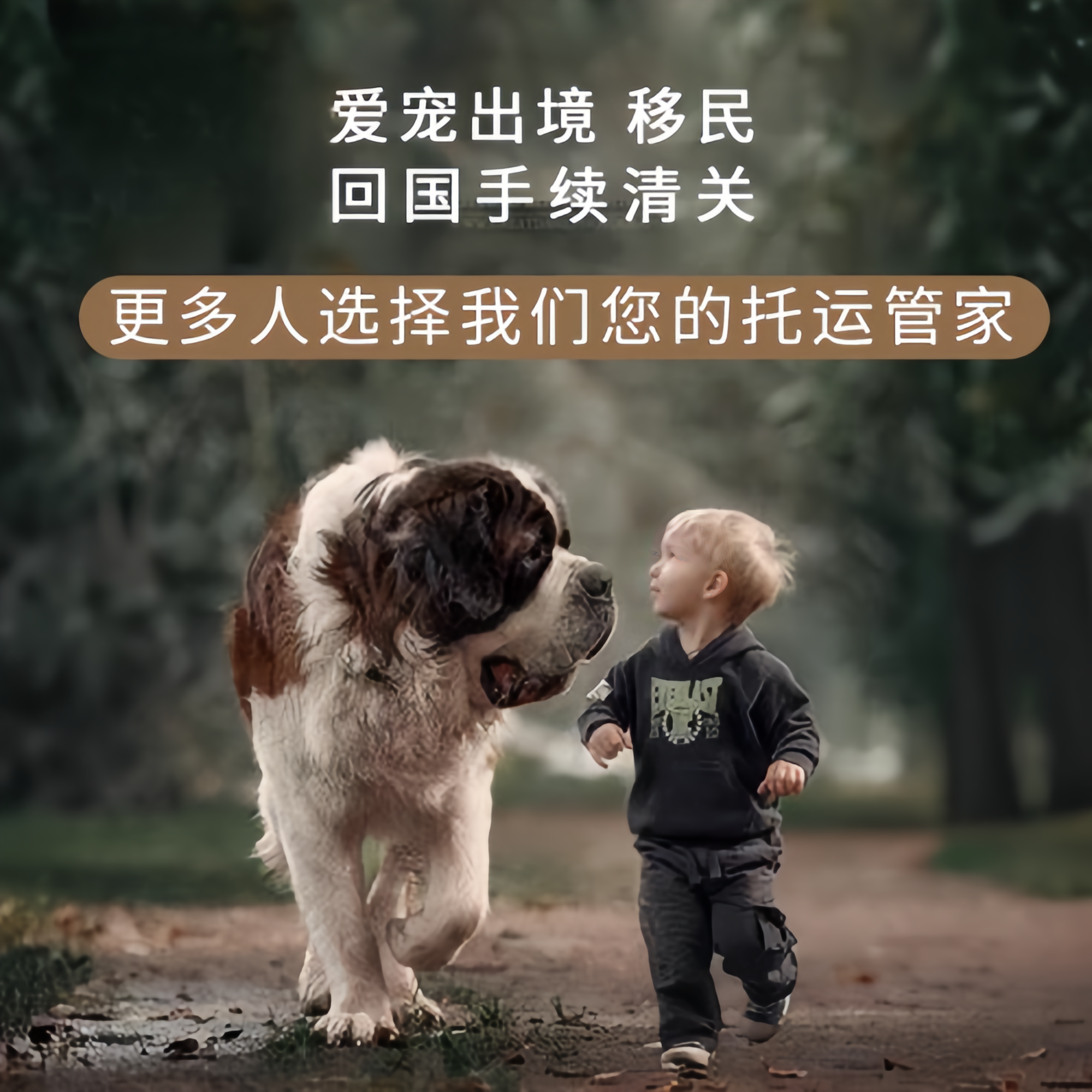 满财鄂尔多斯市宠物全球达宠物托运在遵守入境目的地政策的条件