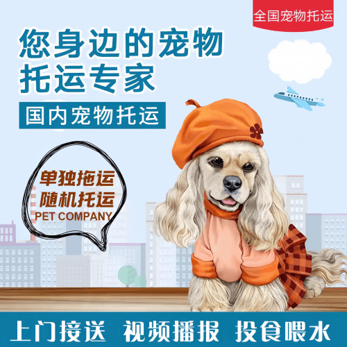 满财鄂尔多斯市宠物全球达宠物托运作为专业的宠物运输代理机构